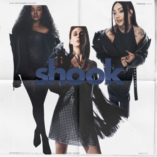 Shook release cover art