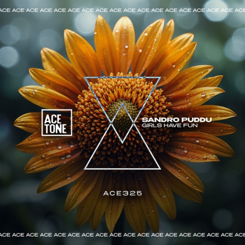 Girls Just Want To Have Fun release cover art