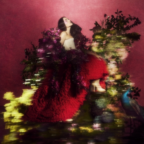 Superbloom release cover art