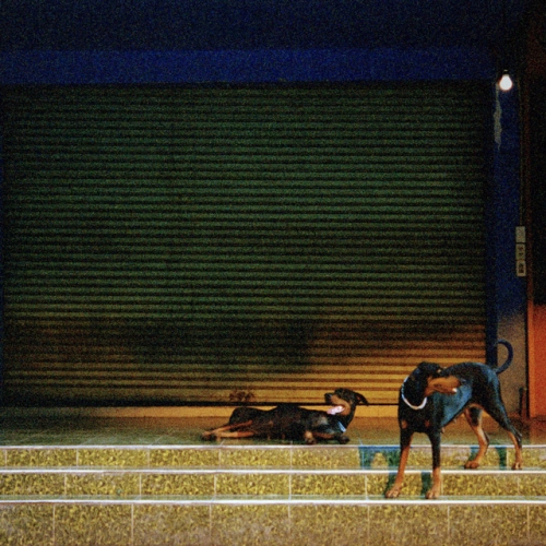 Lockup Album Cover