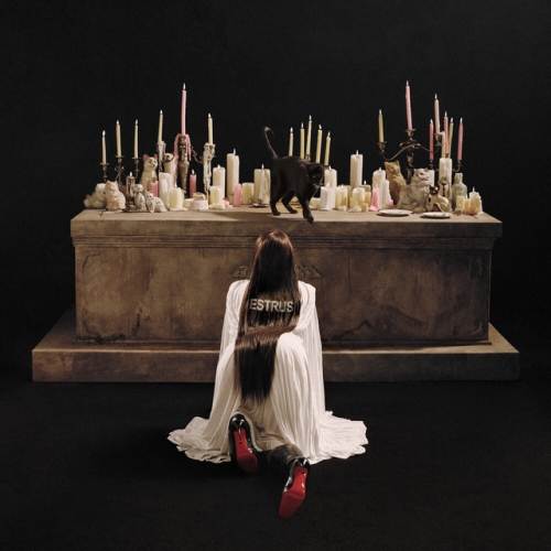 I'm your girl right? release cover art