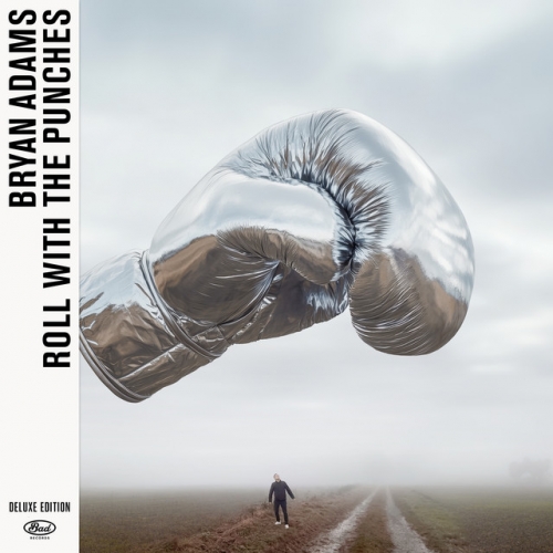 Roll With The Punches release cover art