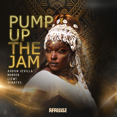 Pump Up The Jam Album Cover