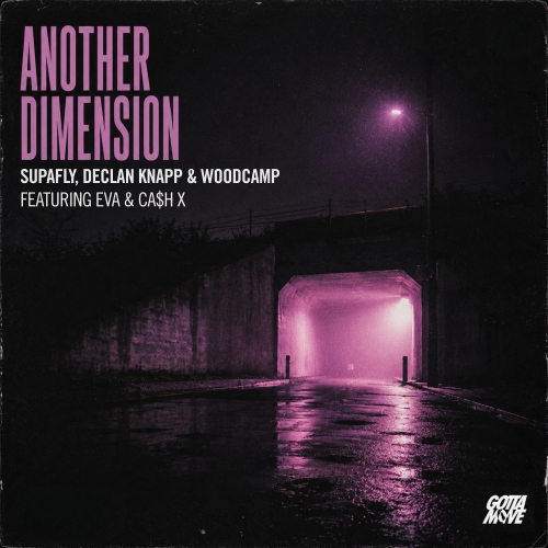 Another Dimension Album Cover