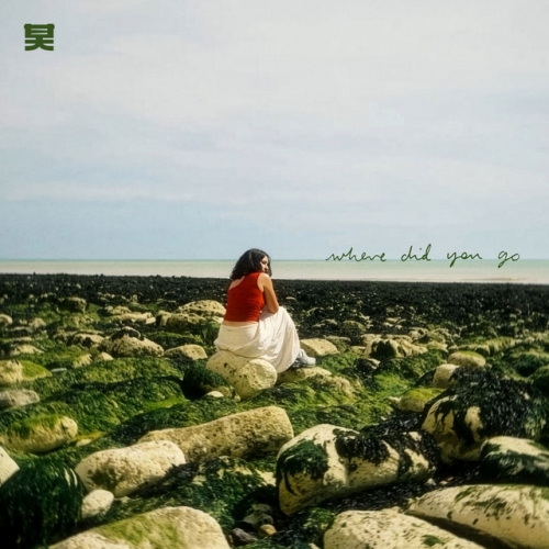 Where Did You Go Album Cover