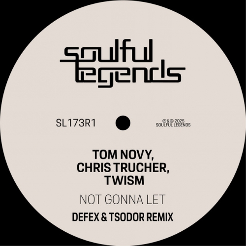 Not Gonna Let (Defex & Tsodor Remix) Album Cover
