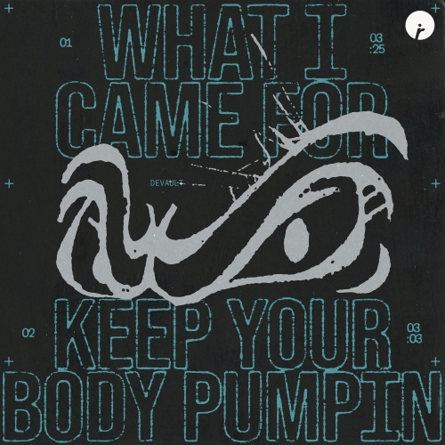 What I Came For release cover art