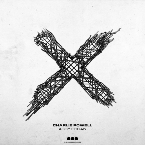 Aggy Organ release cover art